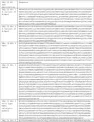 Figure imgf000052_0001