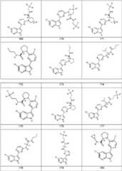 Figure FDA0000106649170000231