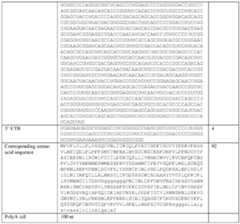 Figure imgf000054_0001