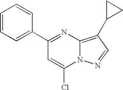 Figure US07119200-20061010-C00492