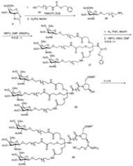 Figure 112016114379466-pct00146