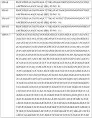 Figure imgf000360_0001