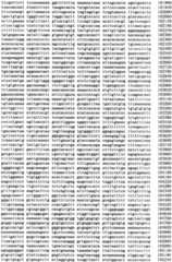 Figure IPA0000293710130000311