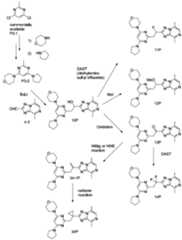 Figure JPOXMLDOC01-appb-C000160