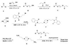 Figure WO-DOC-FIGURE-155