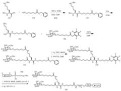 Figure 112016114379466-pct00383