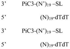 Figure imgf000032_0001