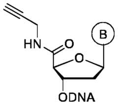 Figure imgf000024_0001