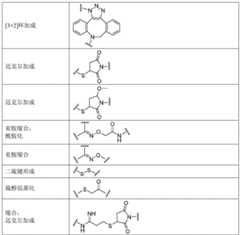 Figure BDA0003429348370000301