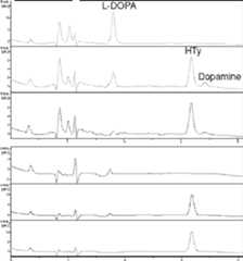 Figure AU2017280163A1_D0011