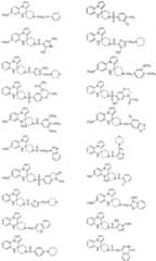 Figure imgf000010_0001