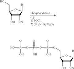 Figure US06825009-20041130-C00070