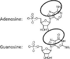 Figure AU2019202835A1_D0262