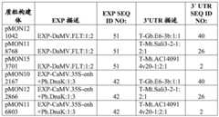 Figure BDA0003859342180000491