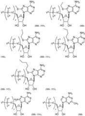 Figure imgf000702_0001