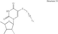 Figure US06761816-20040713-C00031