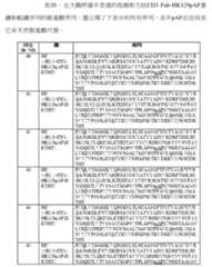 Figure 109106319-A0305-02-0129-78