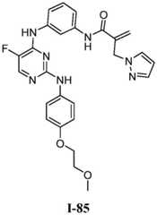 Figure BDA0001453135130002932