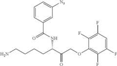 Figure US09758473-20170912-C00077