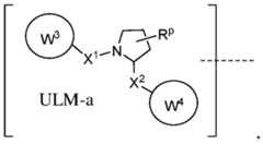 Figure imgf000129_0001