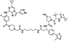 Figure BDA0002964098100001972