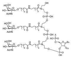 Figure 2023012548000361