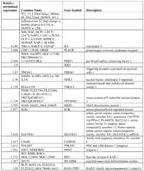 Figure imgf000070_0002