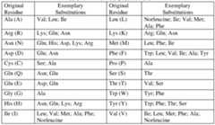 Figure imgf000053_0001