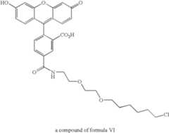 Figure US07425436-20080916-C00005