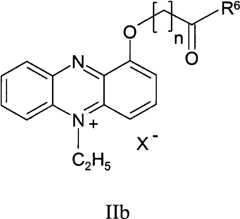 Figure BPA00001263293900251