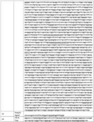 Figure imgf000063_0001