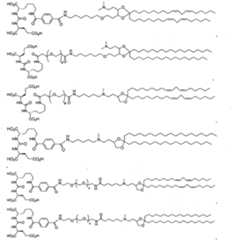 Figure imgf000024_0001
