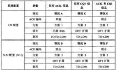 Figure GPA00001026377800141