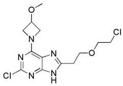 Figure BDA0001402557760002051