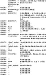 Figure BDA0000057170160000971