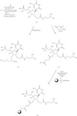 Figure US08883752-20141111-C00074