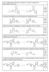 Figure imgf000207_0001
