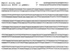 Figure imgf000075_0002
