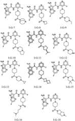 Figure FDA0002307903110000451