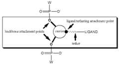 Figure imgf000092_0001