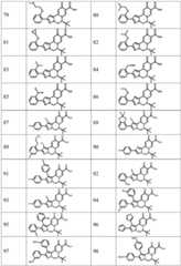 Figure FDA0003141290400000111