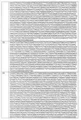 Figure BDA00003192402200661