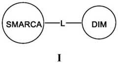 Figure FDA0003783300820000021