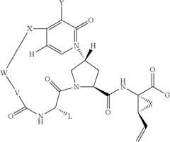 Figure US08383583-20130226-C00491