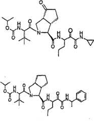 Figure G2009101493490D01351