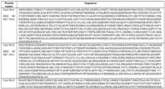 Figure imgf000545_0001