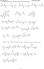 Figure imgf000063_0001