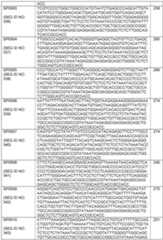 Figure imgf000116_0001