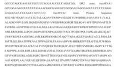 Figure imgf000491_0001