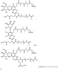 Figure imgf000007_0001